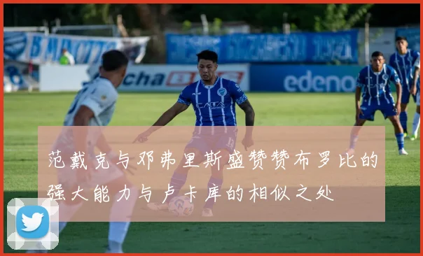 范戴克与邓弗里斯盛赞赞布罗比的强大能力与卢卡库的相似之处